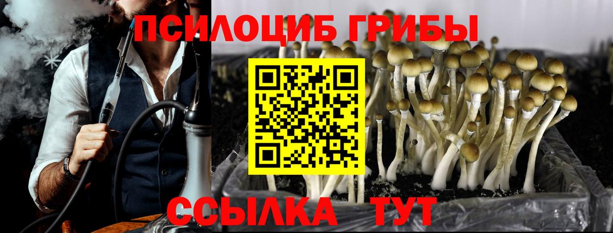 Галлюциногенные грибы Psilocybe  Псилоцибиновые грибы ЛСД  наркотики  Вход с VPN  Елизово 